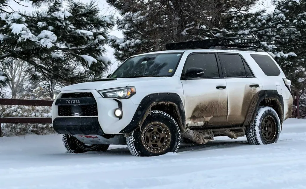 blizzak dm-v2 tire review